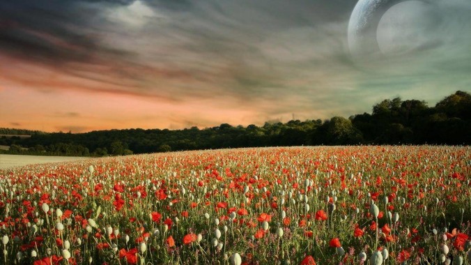 这辈子能看到日本倒向中国吗？